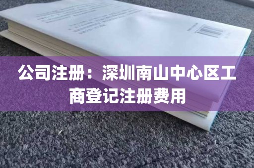 公司注册：深圳南山中心区工商登记注册费用