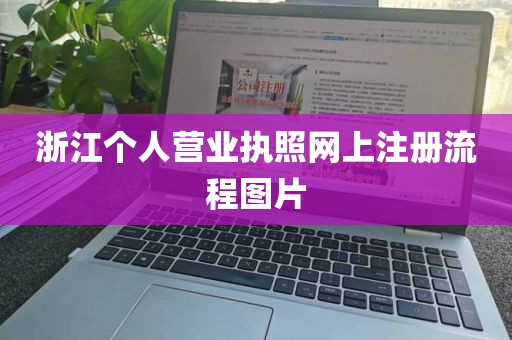 浙江个人营业执照网上注册流程图片