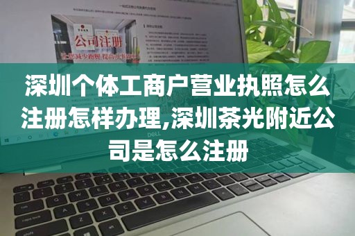 深圳个体工商户营业执照怎么注册怎样办理,深圳茶光附近公司是怎么注册