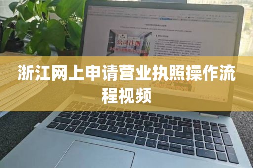 浙江网上申请营业执照操作流程视频