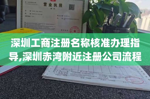 深圳工商注册名称核准办理指导,深圳赤湾附近注册公司流程