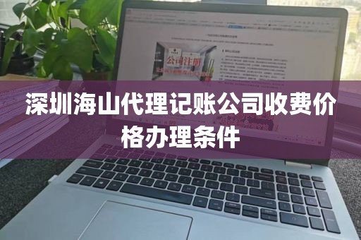 深圳海山代理记账公司收费价格办理条件