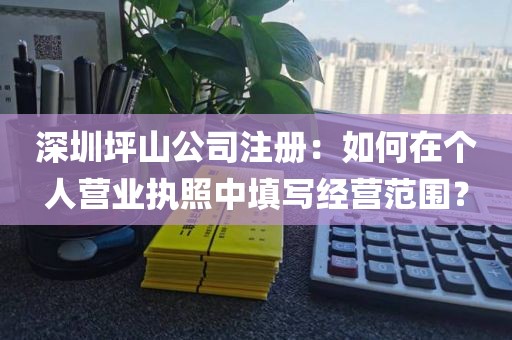深圳坪山公司注册：如何在个人营业执照中填写经营范围？
