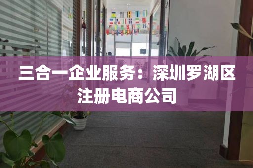 三合一企业服务：深圳罗湖区注册电商公司