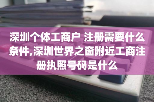 深圳个体工商户 注册需要什么条件,深圳世界之窗附近工商注册执照号码是什么