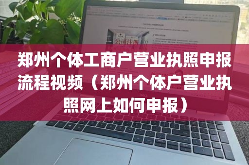郑州个体工商户营业执照申报流程视频（郑州个体户营业执照网上如何申报）