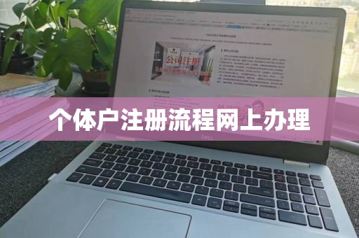 个体户注册流程网上办理