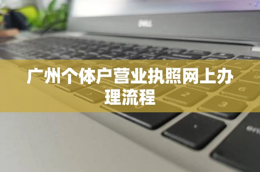 广州个体户营业执照网上办理流程